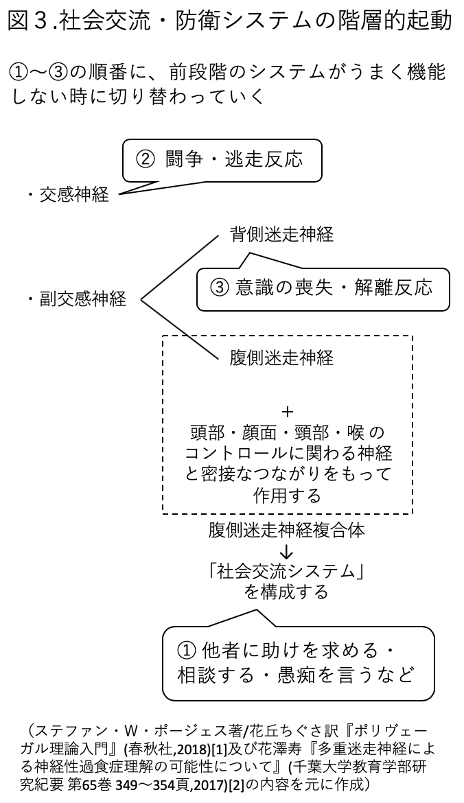 体 皮膚 神経 私たちは全身で生きている リベル